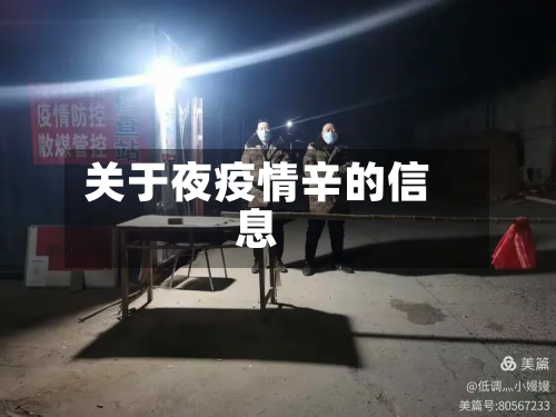 关于夜疫情辛的信息-第3张图片
