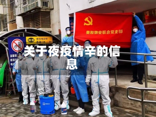 关于夜疫情辛的信息-第2张图片