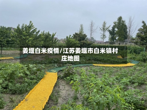 姜堰白米疫情/江苏姜堰市白米镇村庄地图