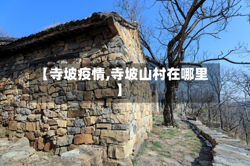 【寺坡疫情,寺坡山村在哪里】