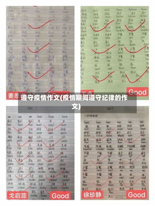 遵守疫情作文(疫情期间遵守纪律的作文)