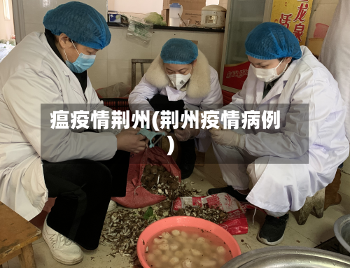 瘟疫情荆州(荆州疫情病例)