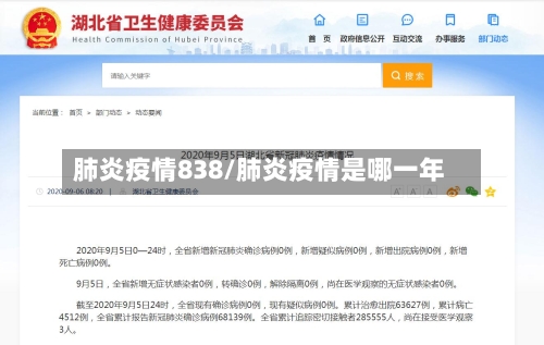 肺炎疫情838/肺炎疫情是哪一年-第3张图片