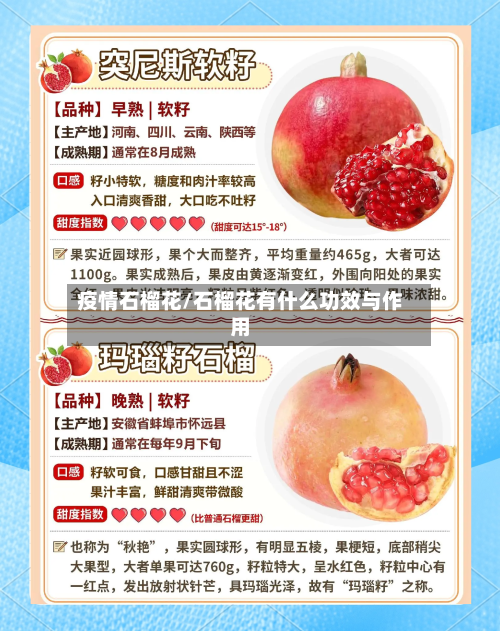 疫情石榴花/石榴花有什么功效与作用