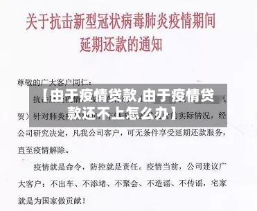【由于疫情贷款,由于疫情贷款还不上怎么办】