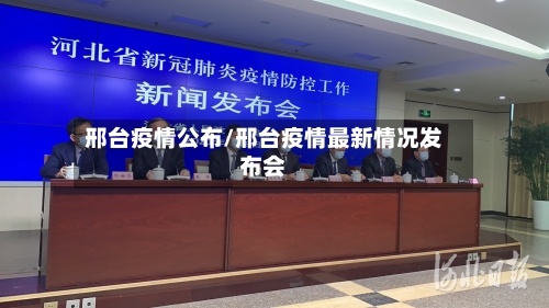 邢台疫情公布/邢台疫情最新情况发布会-第2张图片