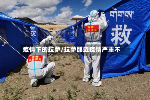 疫情下的拉萨/拉萨那边疫情严重不