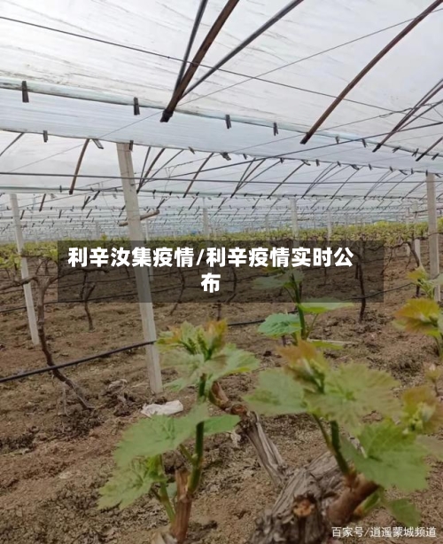利辛汝集疫情/利辛疫情实时公布