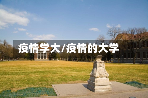 疫情学大/疫情的大学-第2张图片