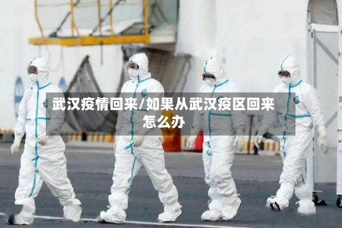 武汉疫情回来/如果从武汉疫区回来怎么办-第2张图片