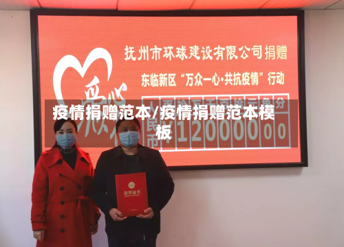 疫情捐赠范本/疫情捐赠范本模板