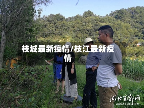 枝城最新疫情/枝江最新疫情