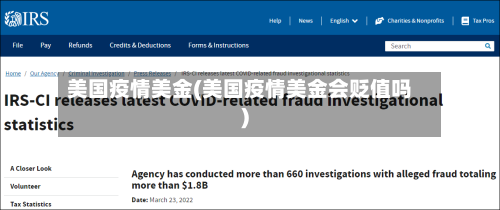 美国疫情美金(美国疫情美金会贬值吗)