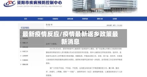 最新疫情反应/疫情最新返乡政策最新消息-第2张图片