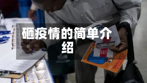 砸疫情的简单介绍