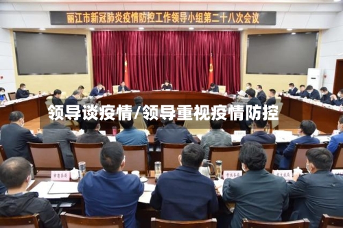 领导谈疫情/领导重视疫情防控