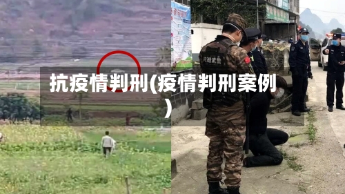 抗疫情判刑(疫情判刑案例)-第2张图片