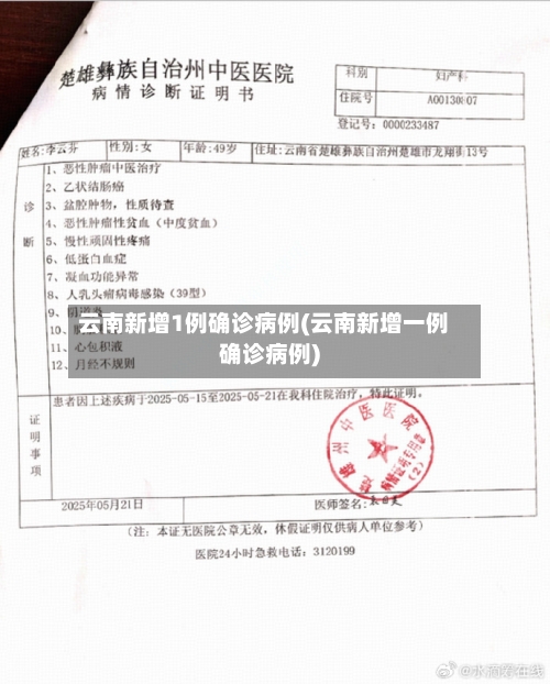 云南新增1例确诊病例(云南新增一例确诊病例)-第3张图片