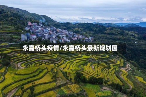 永嘉桥头疫情/永嘉桥头最新规划图-第2张图片