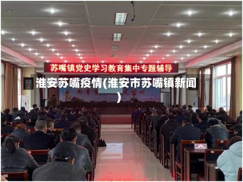 淮安苏嘴疫情(淮安市苏嘴镇新闻)
