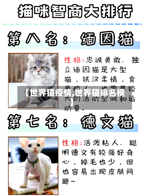 【世界猫疫情,世界猫排名榜】-第2张图片