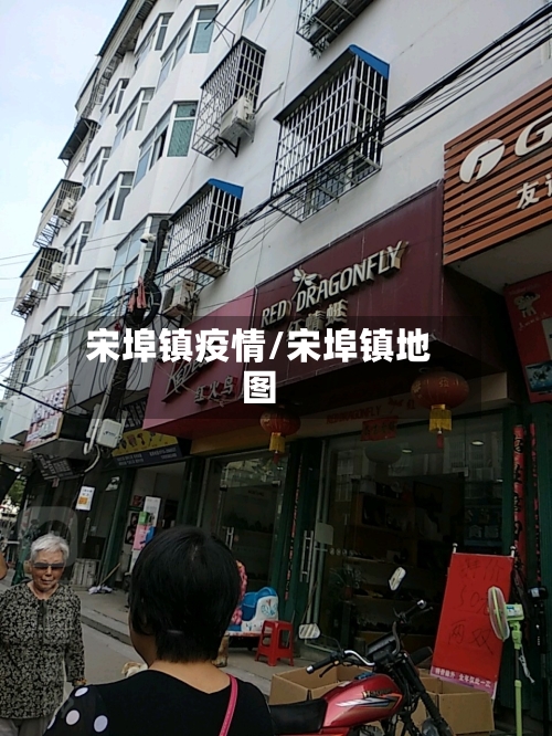 宋埠镇疫情/宋埠镇地图