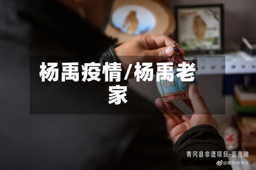 杨禹疫情/杨禹老家