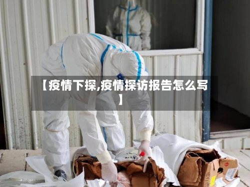 【疫情下探,疫情探访报告怎么写】-第2张图片