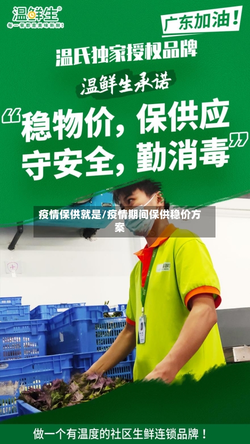 疫情保供就是/疫情期间保供稳价方案