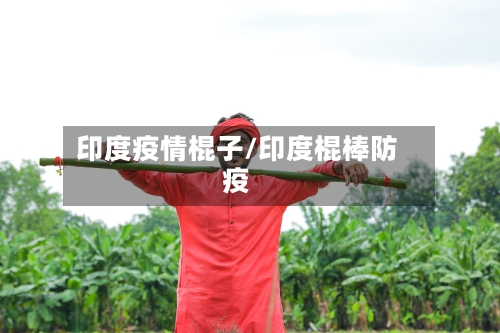 印度疫情棍子/印度棍棒防疫-第2张图片