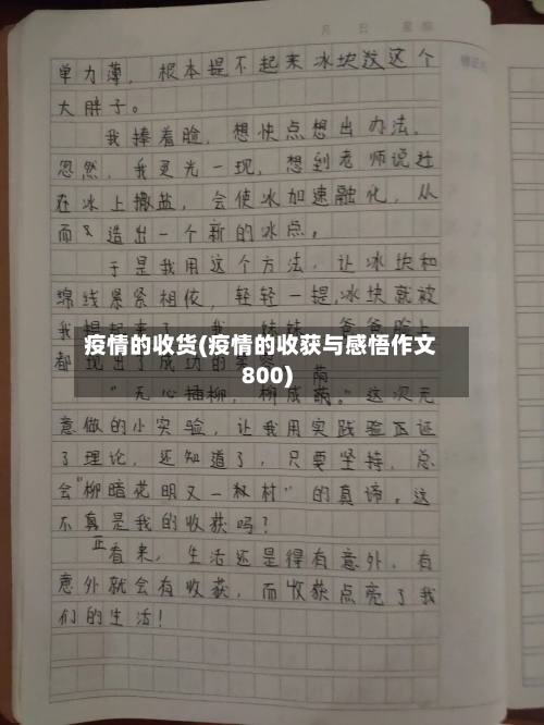疫情的收货(疫情的收获与感悟作文800)