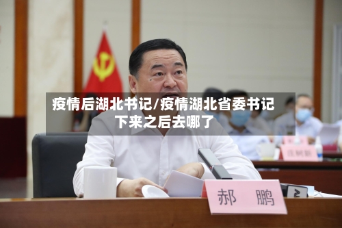 疫情后湖北书记/疫情湖北省委书记下来之后去哪了