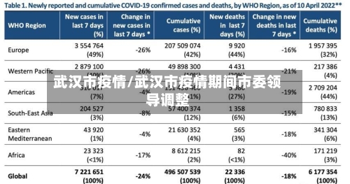 武汉市疫情/武汉市疫情期间市委领导调整-第3张图片