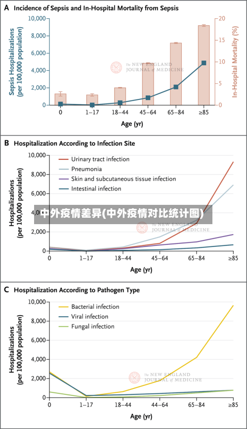 中外疫情差异(中外疫情对比统计图)-第3张图片