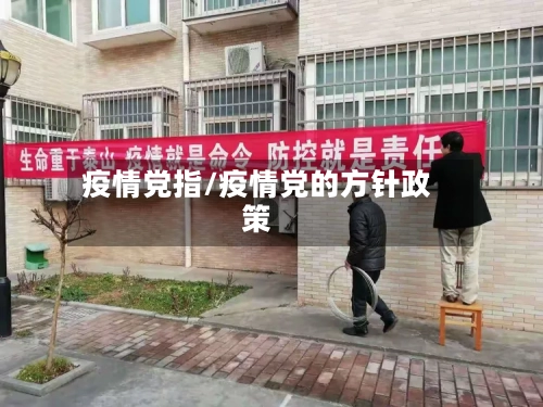疫情党指/疫情党的方针政策-第3张图片