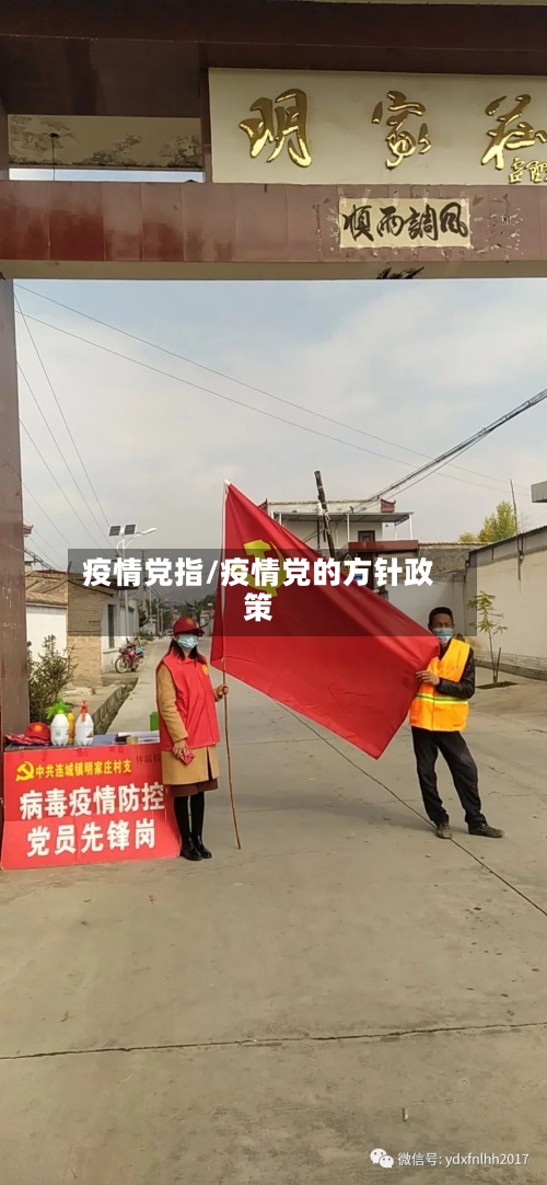 疫情党指/疫情党的方针政策-第2张图片