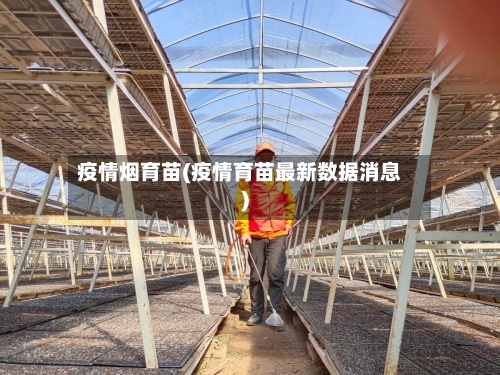 疫情烟育苗(疫情育苗最新数据消息)