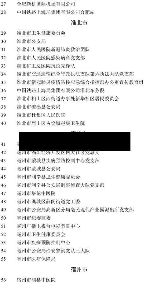 安庆疫情表彰/安庆市表彰抗疫先进个人-第3张图片