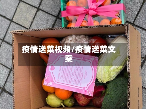 疫情送菜视频/疫情送菜文案-第3张图片