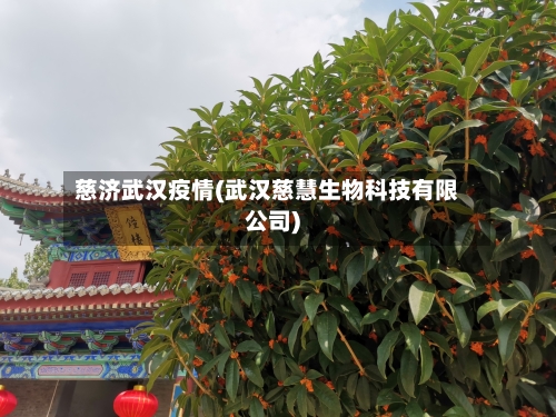 慈济武汉疫情(武汉慈慧生物科技有限公司)-第2张图片