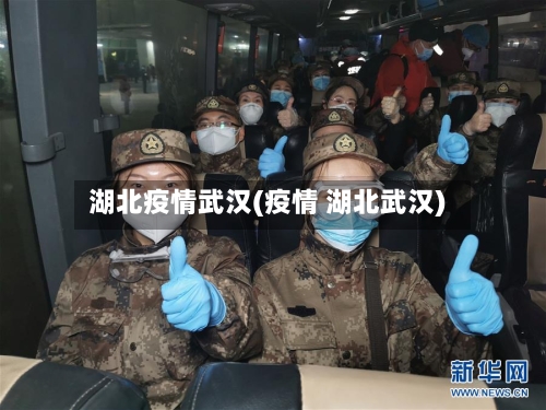 湖北疫情武汉(疫情 湖北武汉)-第2张图片