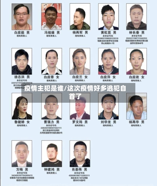 疫情主犯是谁/这次疫情好多逃犯自首了-第3张图片