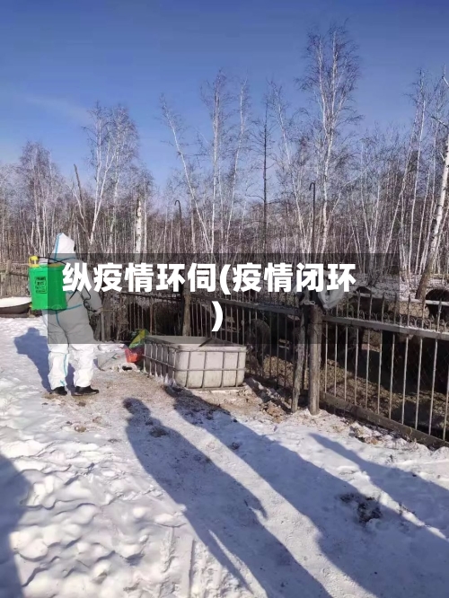 纵疫情环伺(疫情闭环)