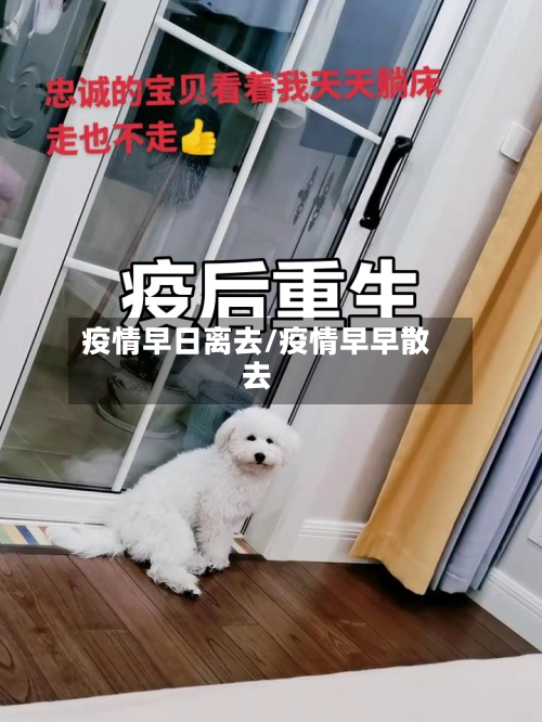 疫情早日离去/疫情早早散去