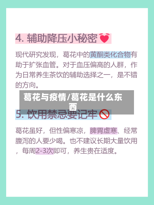 葛花与疫情/葛花是什么东西
