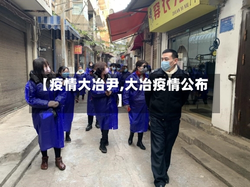 【疫情大冶尹,大冶疫情公布】