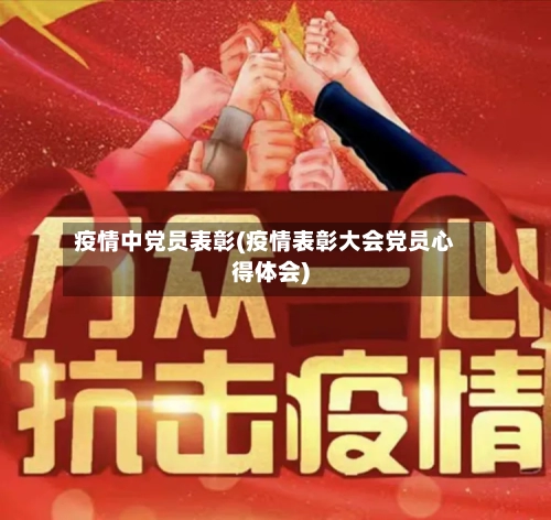 疫情中党员表彰(疫情表彰大会党员心得体会)-第2张图片