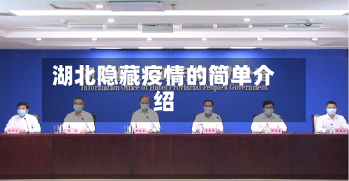 湖北隐藏疫情的简单介绍-第2张图片