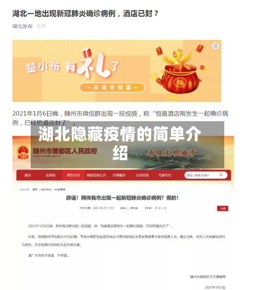 湖北隐藏疫情的简单介绍