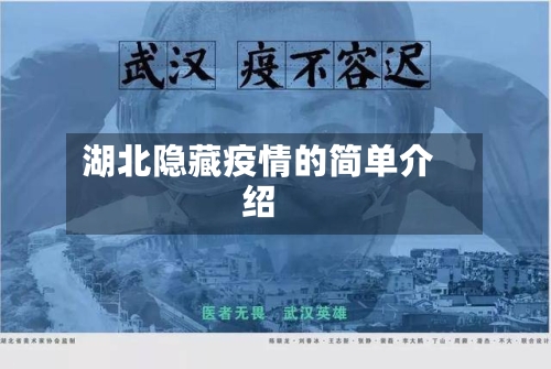 湖北隐藏疫情的简单介绍-第3张图片